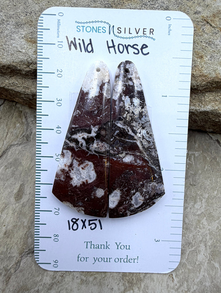 RARE Arizona Wild Horse BIG Matching Earring Slab Bead Pair