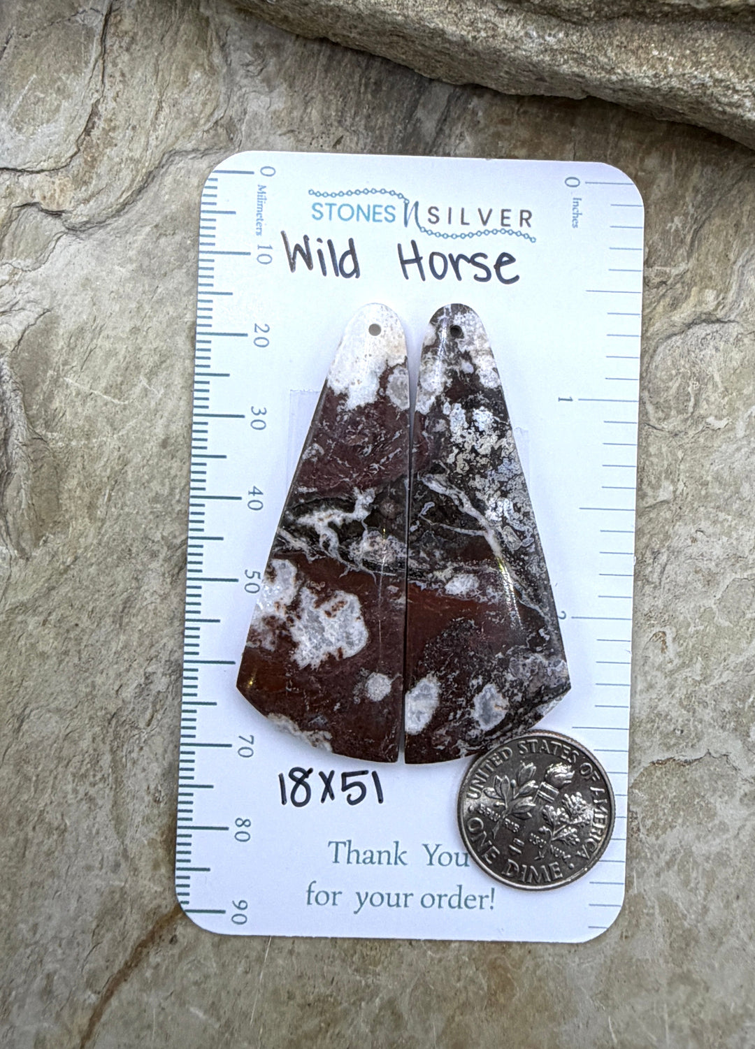 RARE Arizona Wild Horse BIG Matching Earring Slab Bead Pair