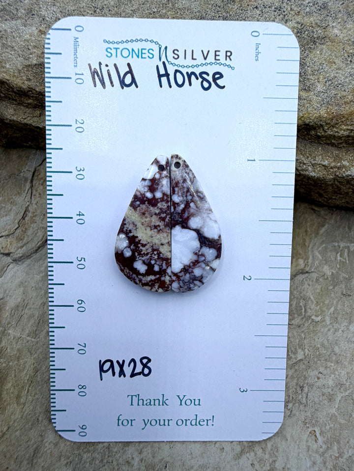 RARE Arizona Wild Horse BIG Matching Earring Slab Bead Pair