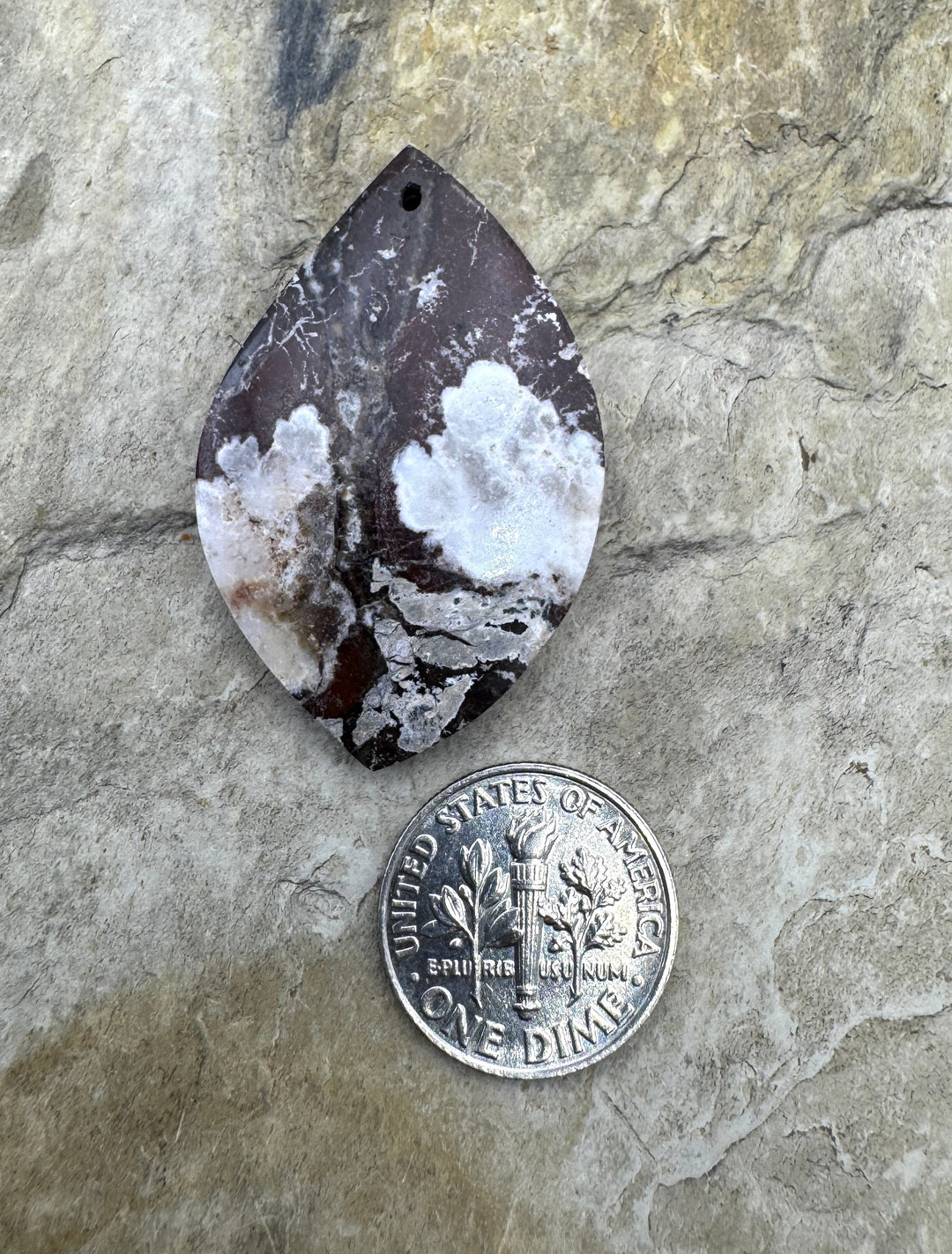 RARE Arizona Wild Horse Focal Pendant Bead 25x38mm - Wild