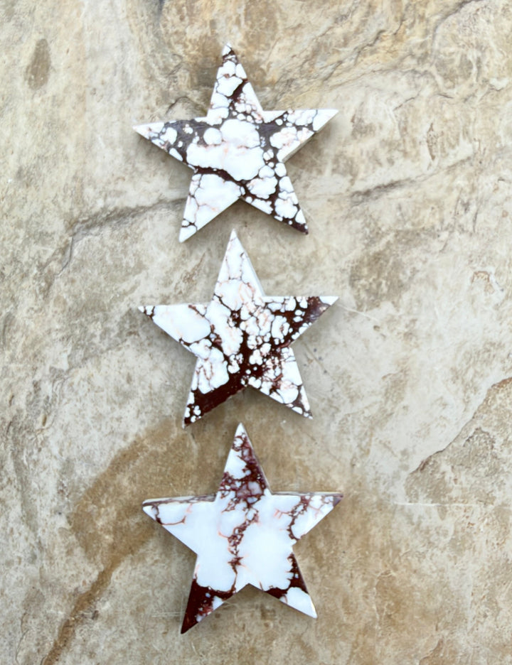 RARE Arizona Wild Horse Handcut Star Shaped Focal Pendant