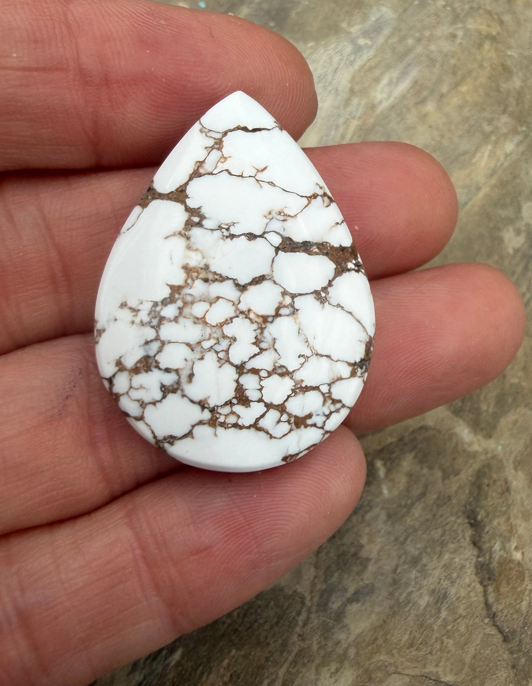 RARE Arizona Wild Horse Handcut Teardrop Shaped Focal