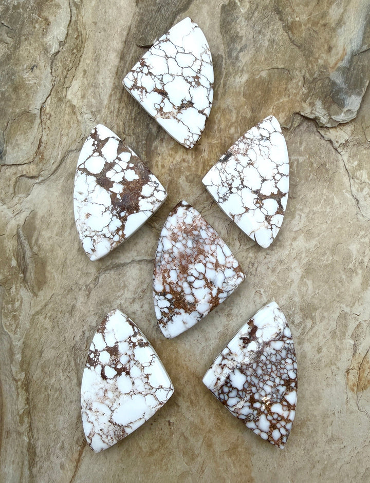 RARE Arizona Wild Horse Handcut Trillion Shaped Focal