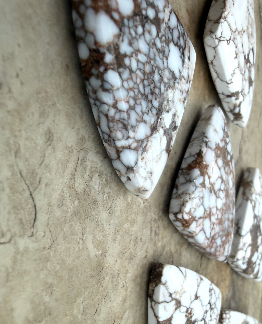 RARE Arizona Wild Horse Handcut Trillion Shaped Focal