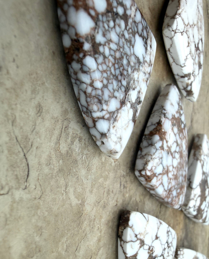 RARE Arizona Wild Horse Handcut Trillion Shaped Focal