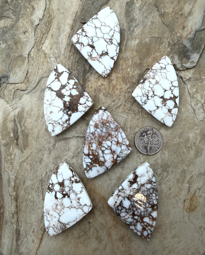 RARE Arizona Wild Horse Handcut Trillion Shaped Focal