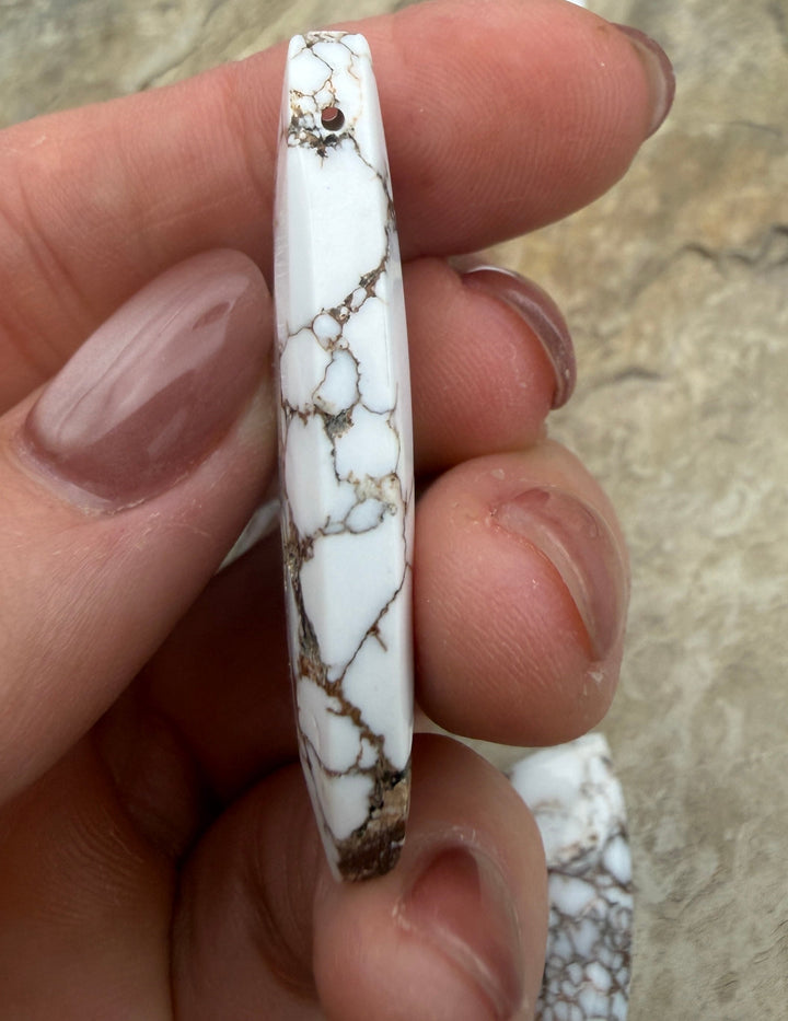 RARE Arizona Wild Horse Handcut Trillion Shaped Focal