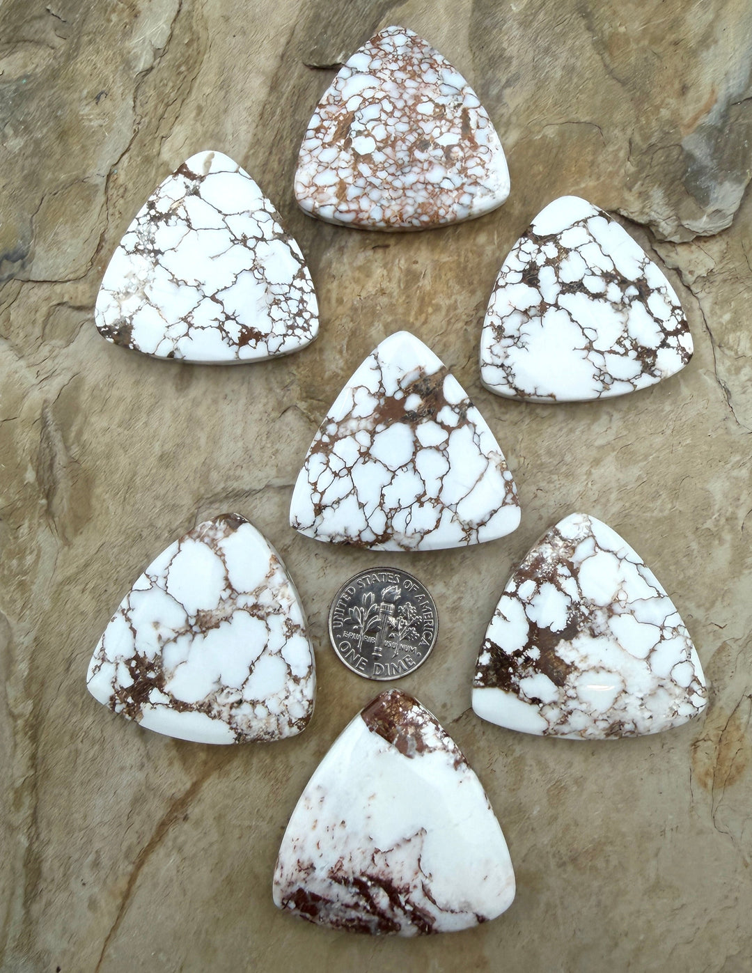 RARE Arizona Wild Horse Handcut Wide Trillion Fly Shaped