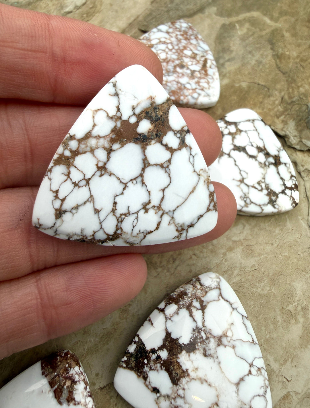 RARE Arizona Wild Horse Handcut Wide Trillion Fly Shaped