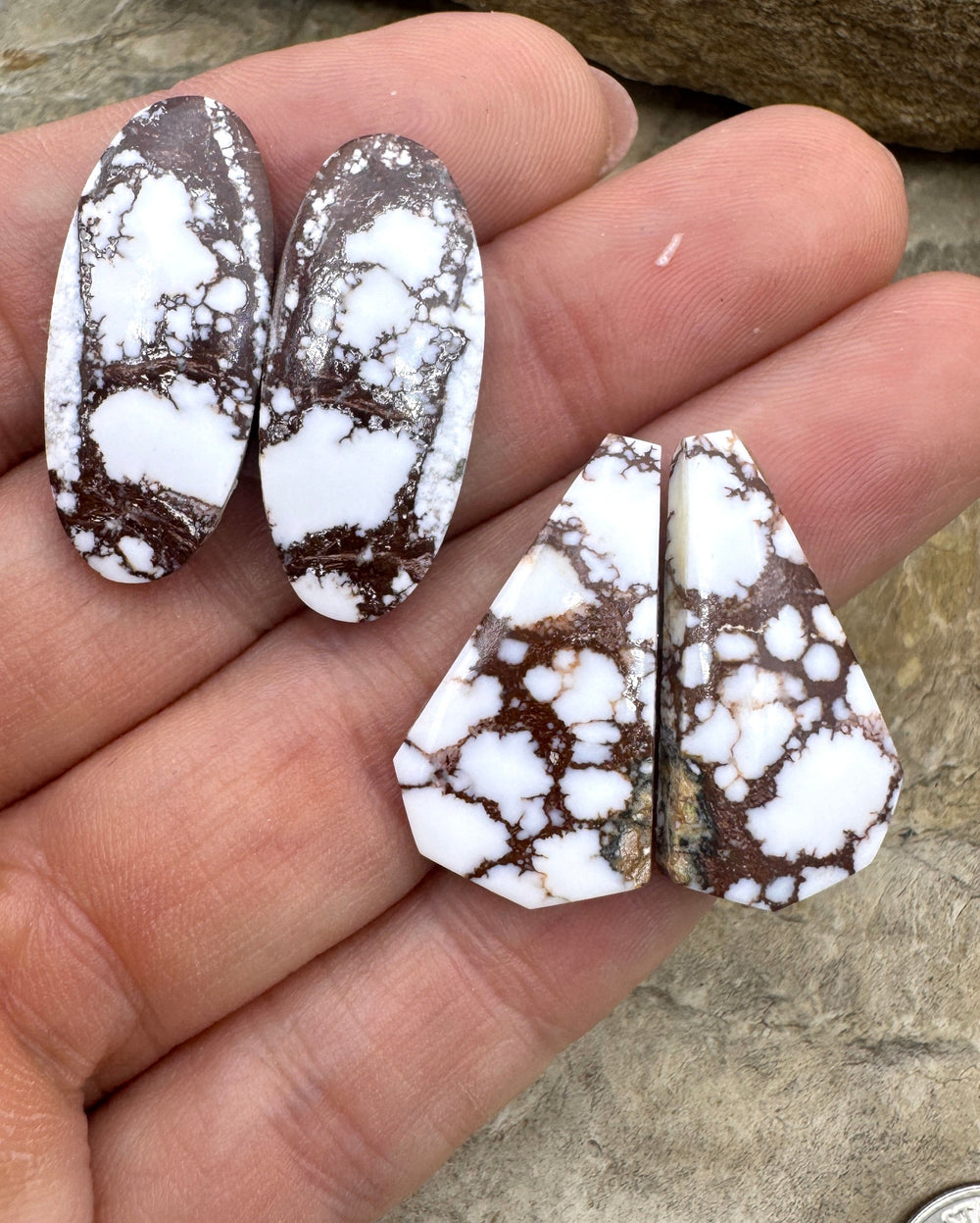 RARE Arizona Wild Horse Matching Earring Cabochon Pair