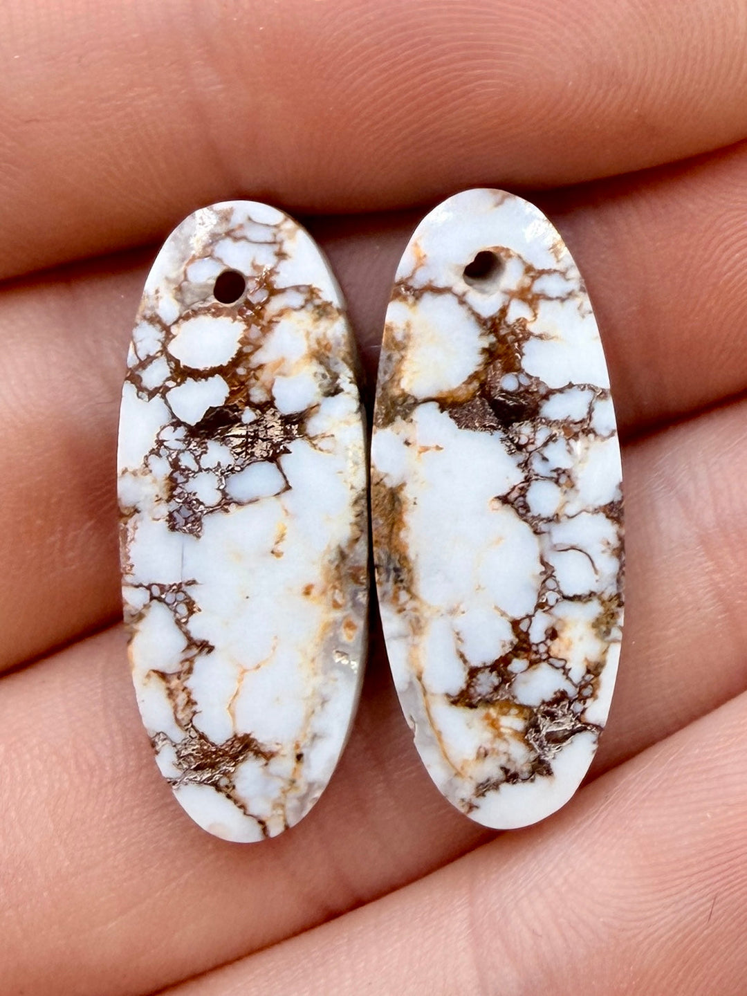 RARE Arizona Wild Horse Matching Earring Slab Bead Pair