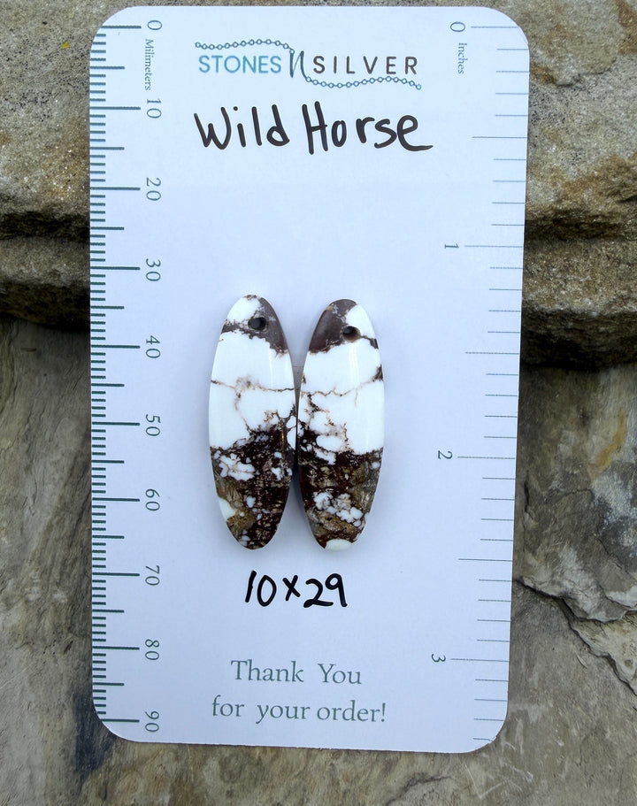 RARE Arizona Wild Horse Matching Earring Slab Bead Pair