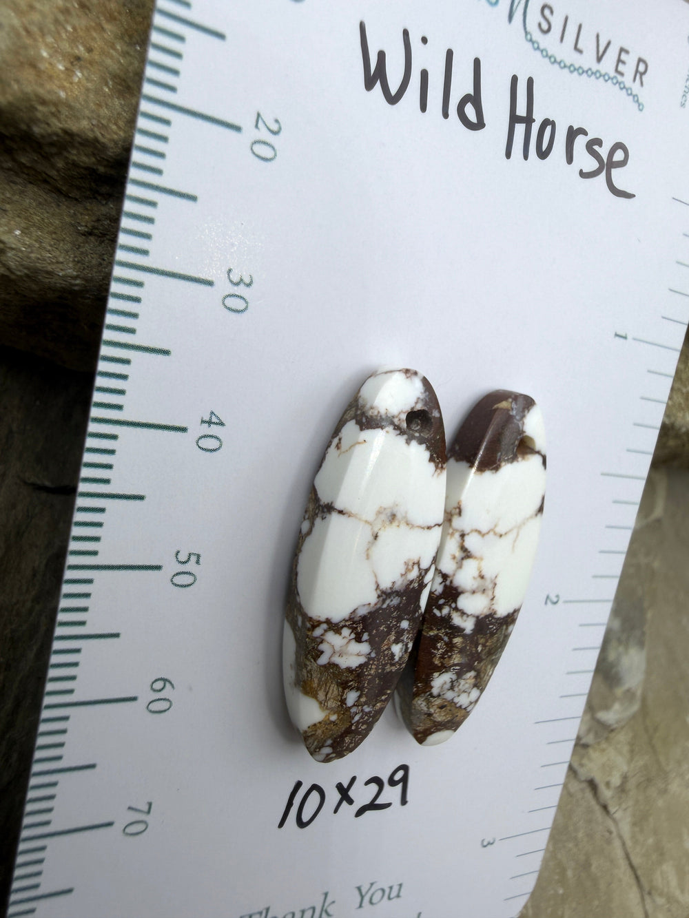 RARE Arizona Wild Horse Matching Earring Slab Bead Pair