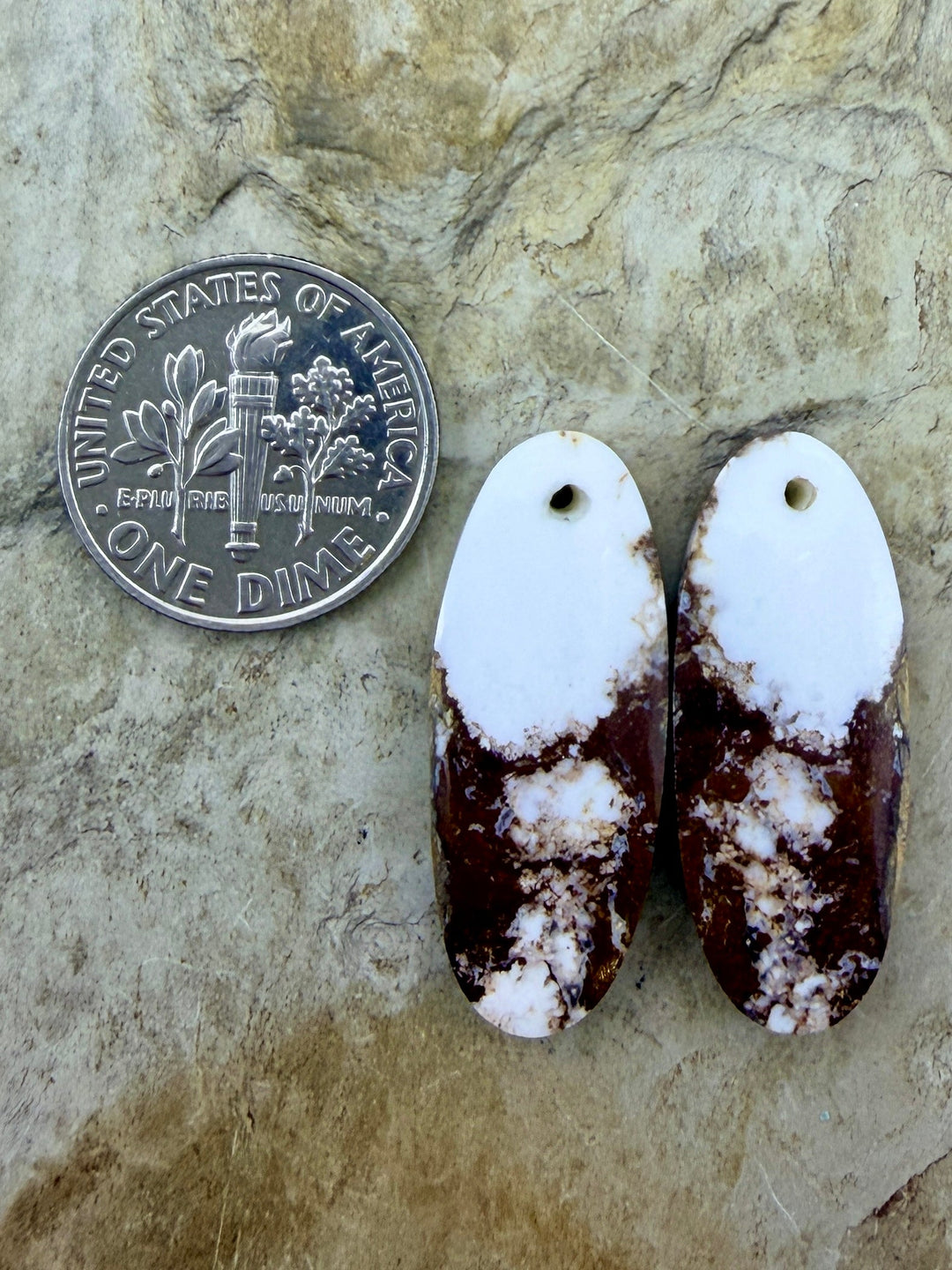 RARE Arizona Wild Horse Matching Earring Slab Bead Pair