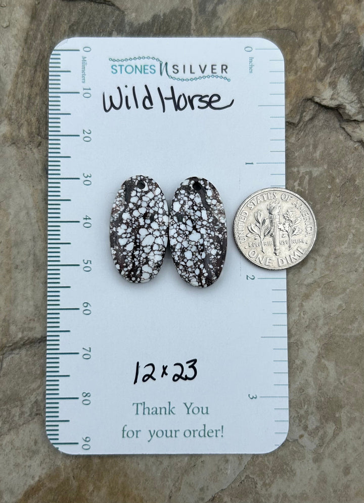 RARE Arizona Wild Horse Matching Earring Slab Bead Pair