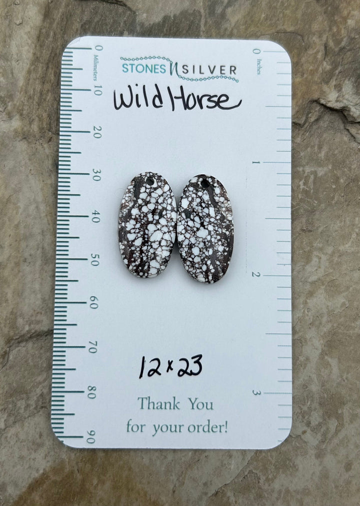 RARE Arizona Wild Horse Matching Earring Slab Bead Pair
