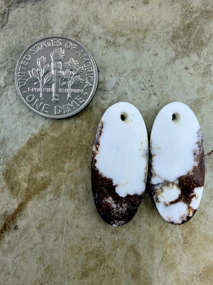 RARE Arizona Wild Horse Matching Earring Slab Bead Pair
