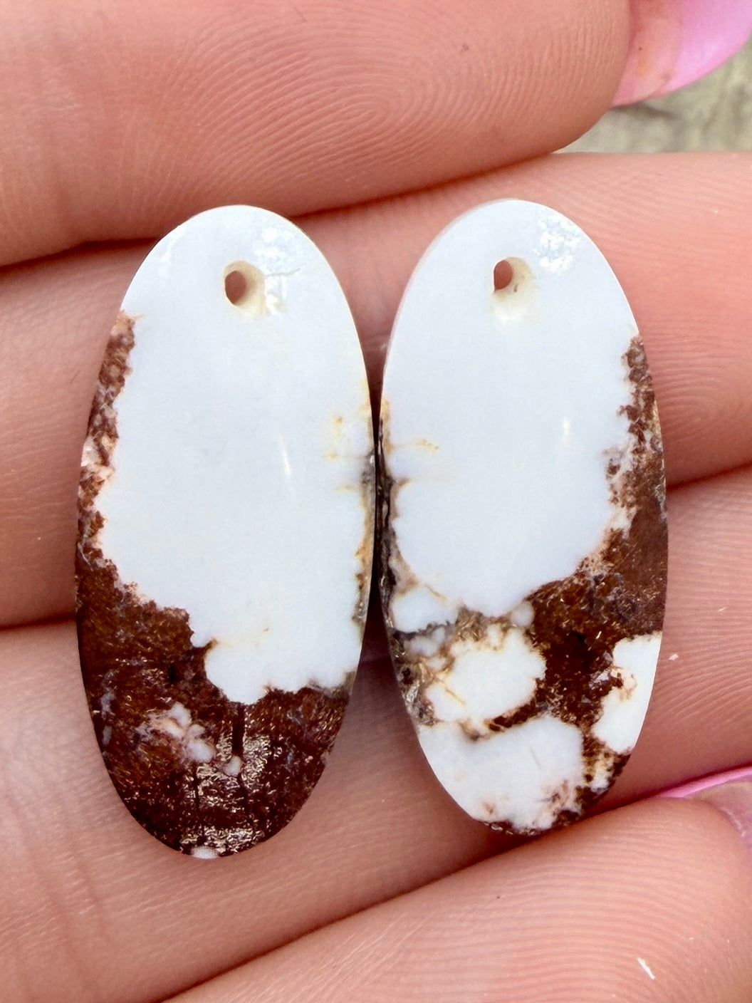 RARE Arizona Wild Horse Matching Earring Slab Bead Pair