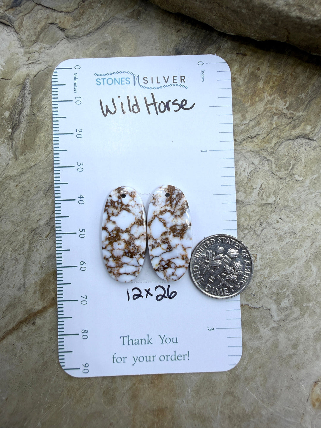 RARE Arizona Wild Horse Matching Earring Slab Bead Pair