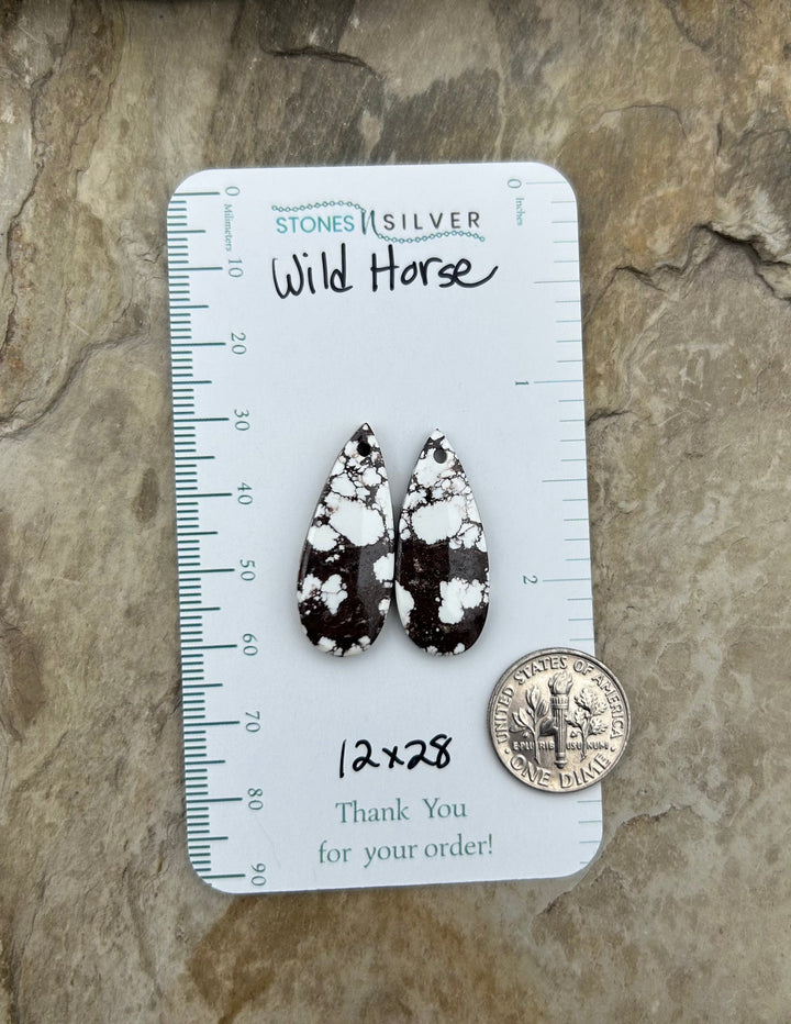 RARE Arizona Wild Horse Matching Earring Slab Bead Pair