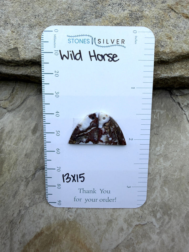 RARE Arizona Wild Horse Matching Earring Slab Bead Pair