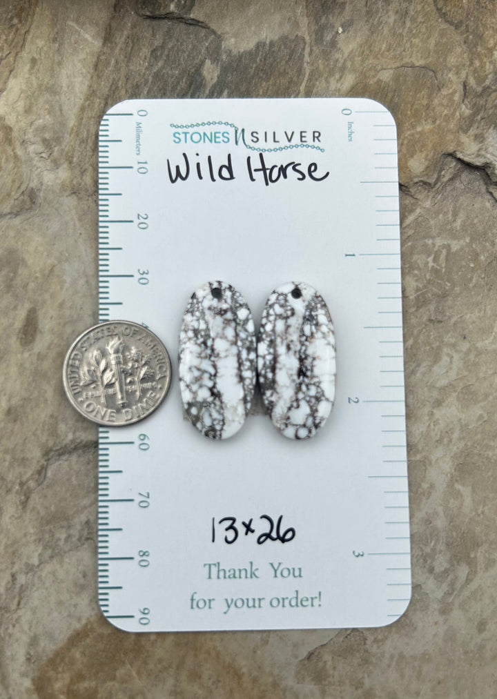 RARE Arizona Wild Horse Matching Earring Slab Bead Pair