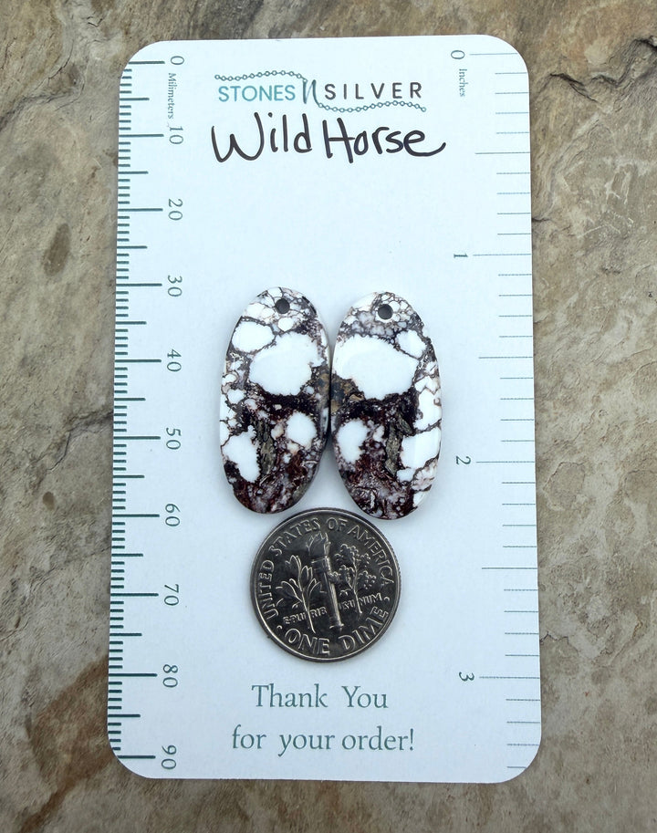 RARE Arizona Wild Horse Matching Earring Slab Bead Pair