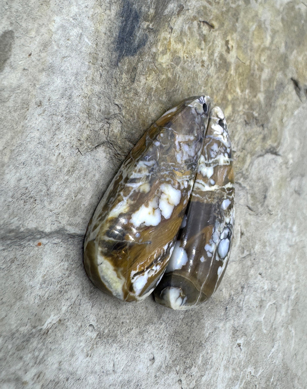 RARE Arizona Wild Horse Matching Earring Slab Bead Pair