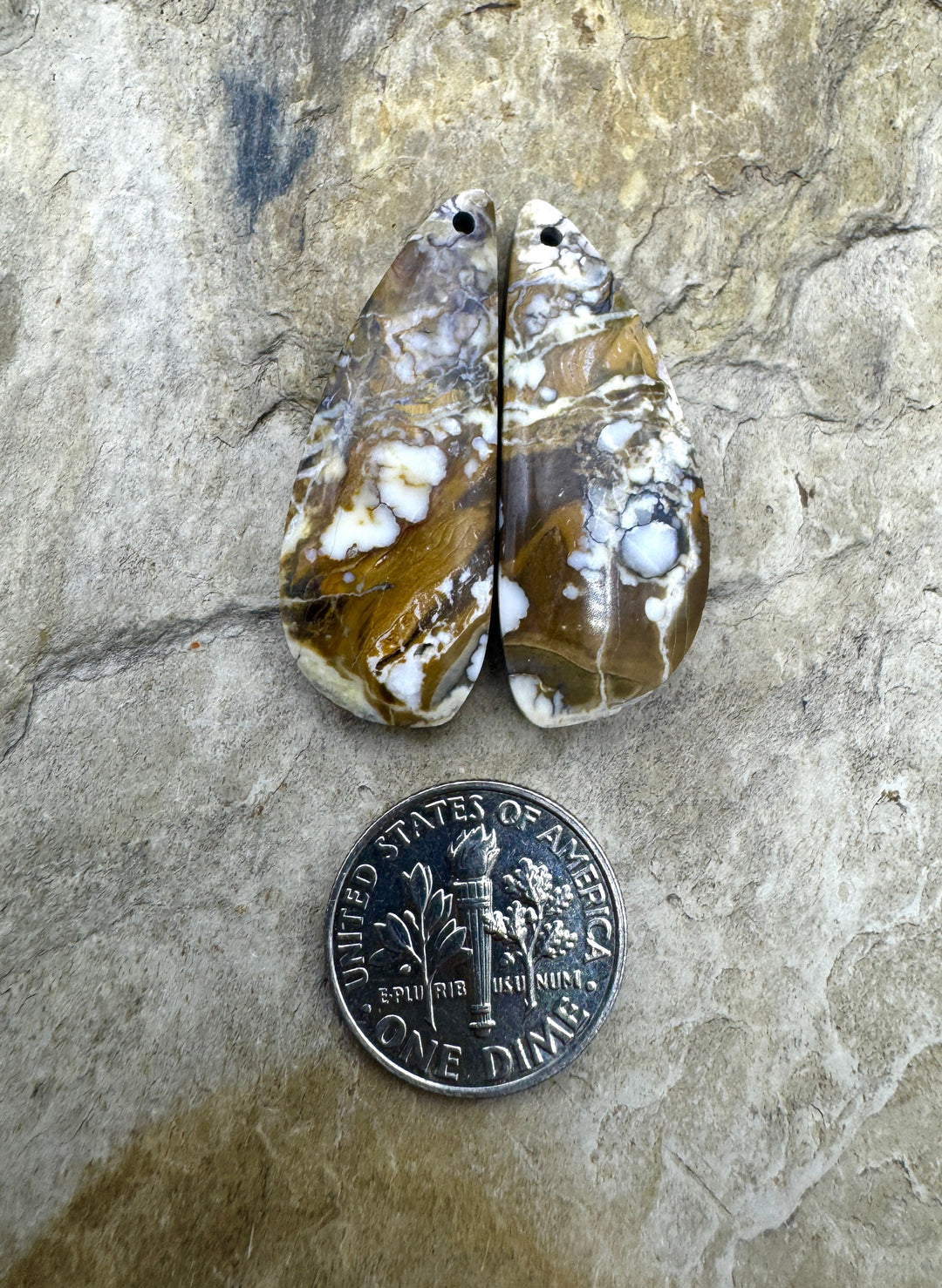 RARE Arizona Wild Horse Matching Earring Slab Bead Pair