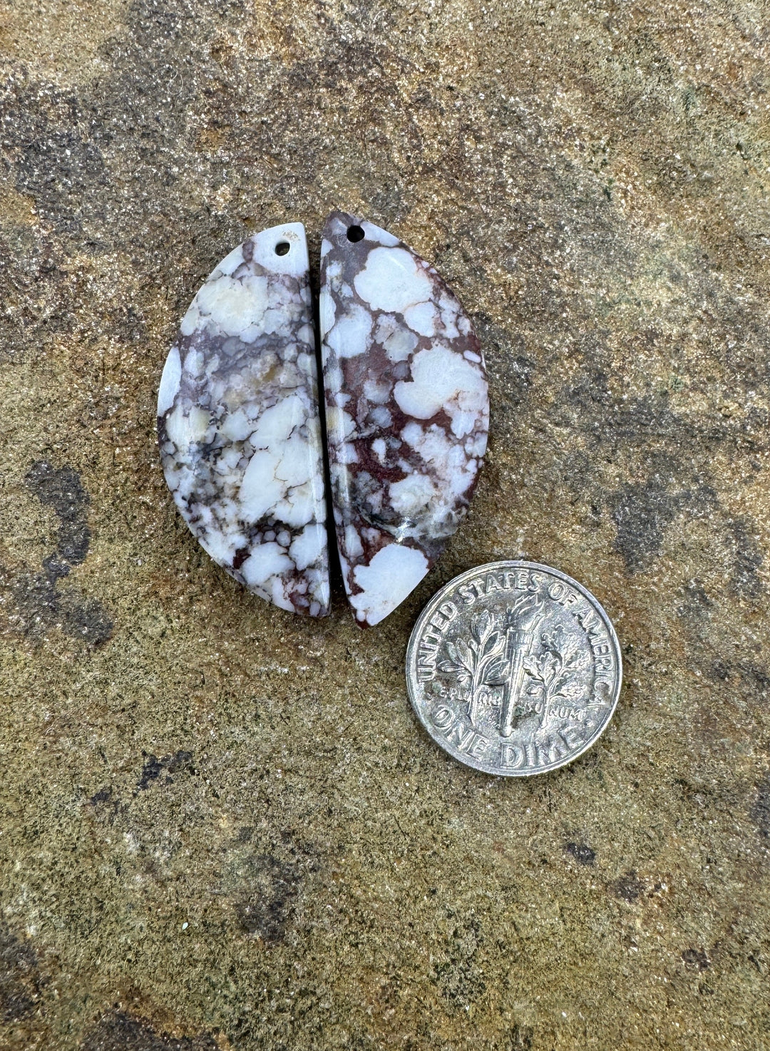 RARE Arizona Wild Horse Matching Earring Slab Bead Pair