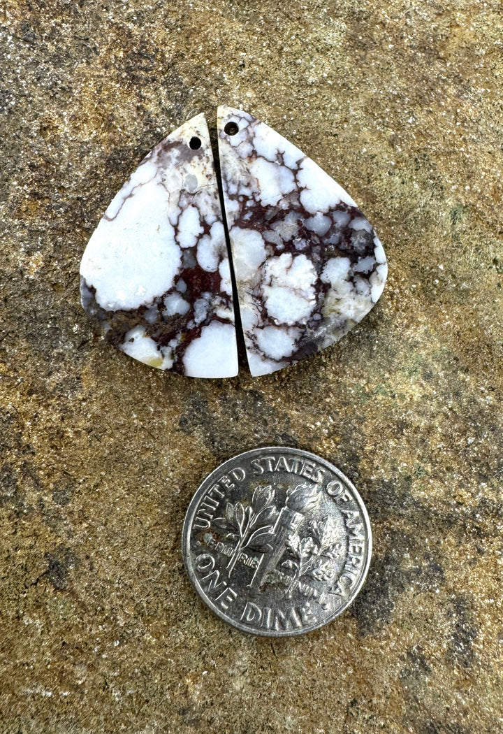 RARE Arizona Wild Horse Matching Earring Slab Bead Pair