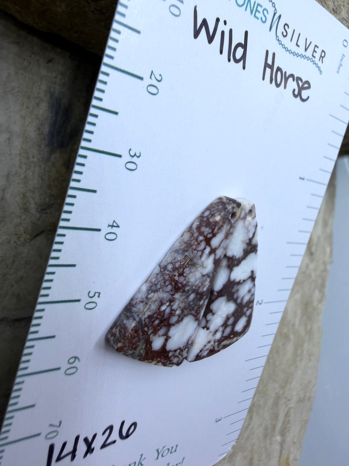 RARE Arizona Wild Horse Matching Earring Slab Bead Pair