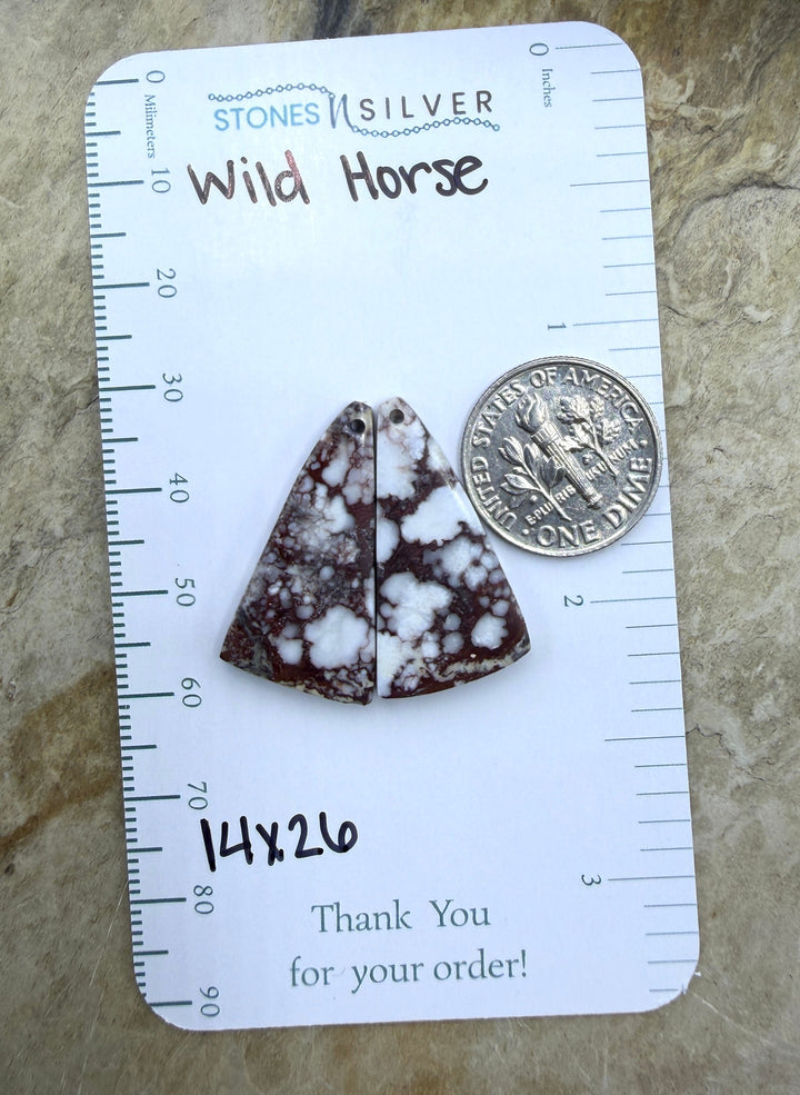 RARE Arizona Wild Horse Matching Earring Slab Bead Pair