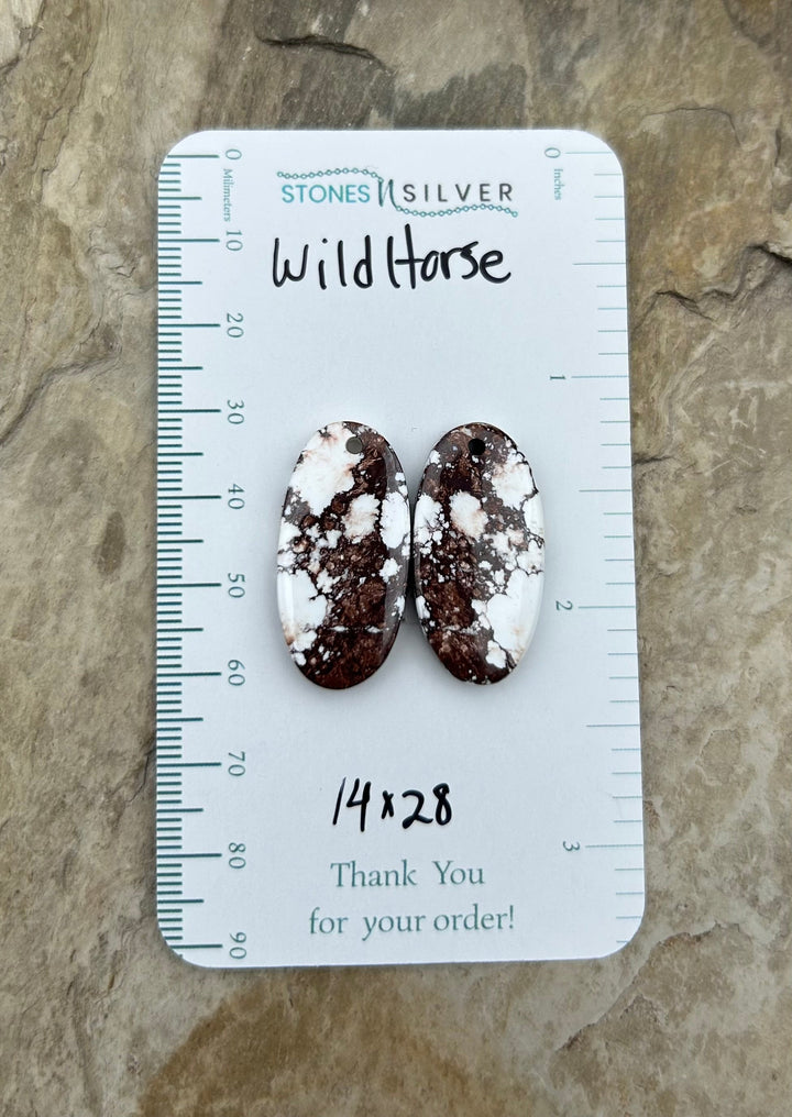 RARE Arizona Wild Horse Matching Earring Slab Bead Pair