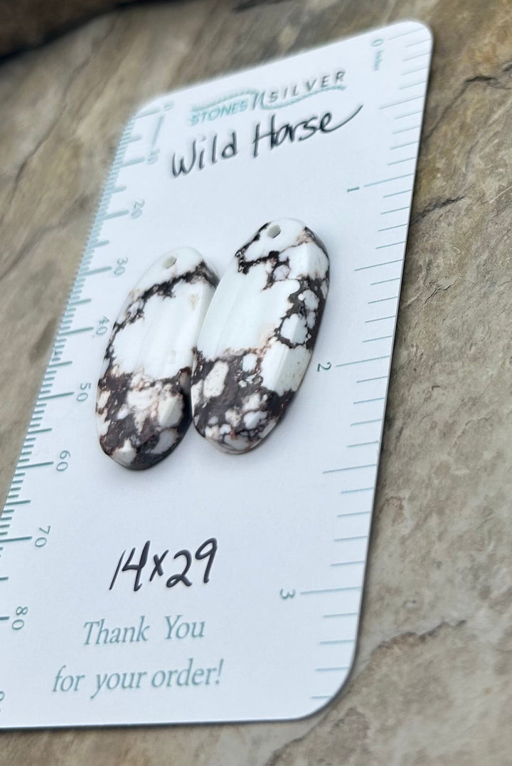 RARE Arizona Wild Horse Matching Earring Slab Bead Pair