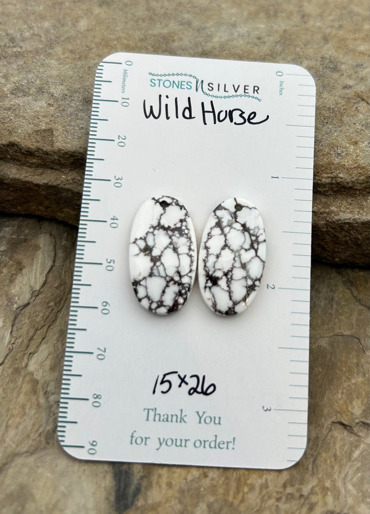 RARE Arizona Wild Horse Matching Earring Slab Bead Pair