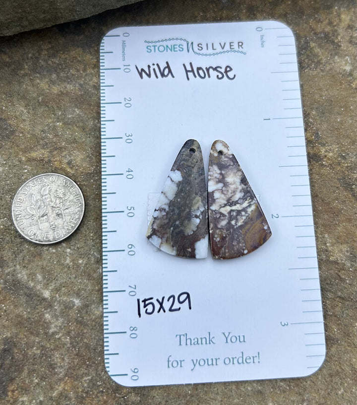 RARE Arizona Wild Horse Matching Earring Slab Bead Pair