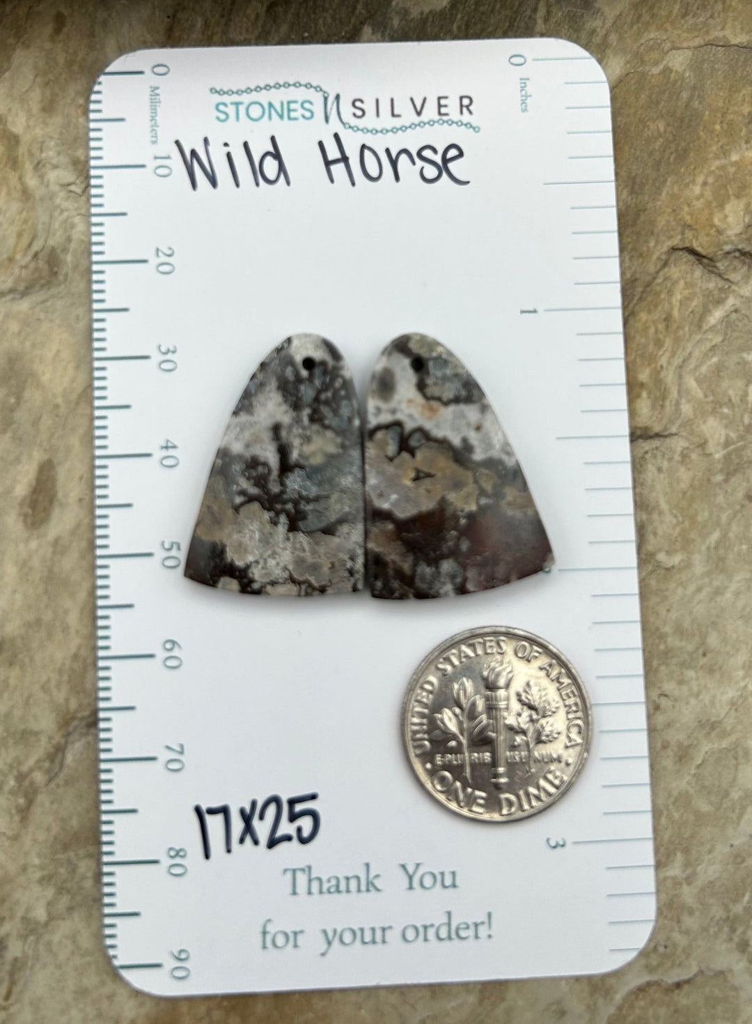 RARE Arizona Wild Horse Matching Earring Slab Bead Pair