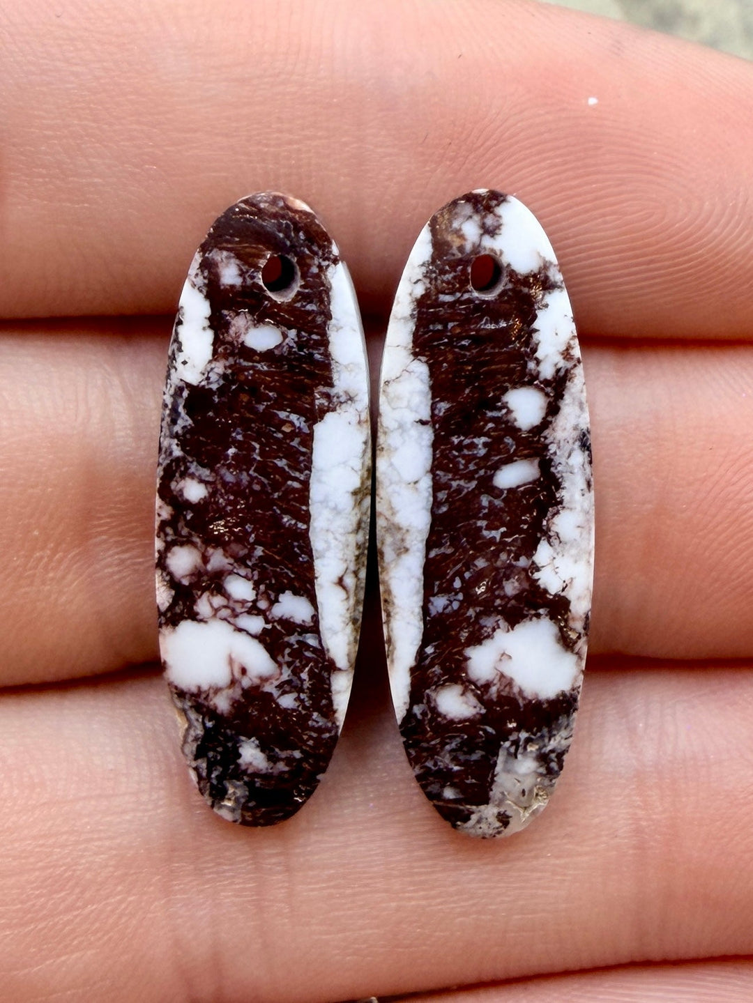 RARE Arizona Wild Horse Matching Earring Slab Bead Pair