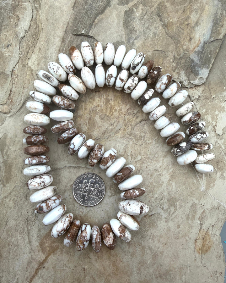 RARE Arizona Wild Horse Medium Graduated Saucer Beads