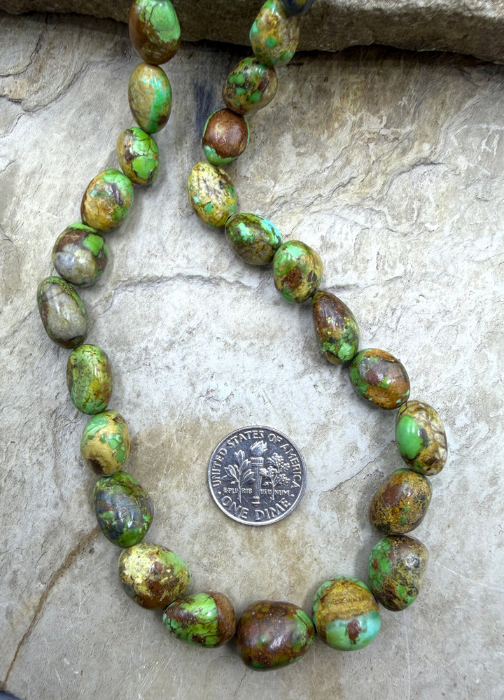 RARE Boulder Sonoran Gold Turquoise (Mex) Graduated Rounded