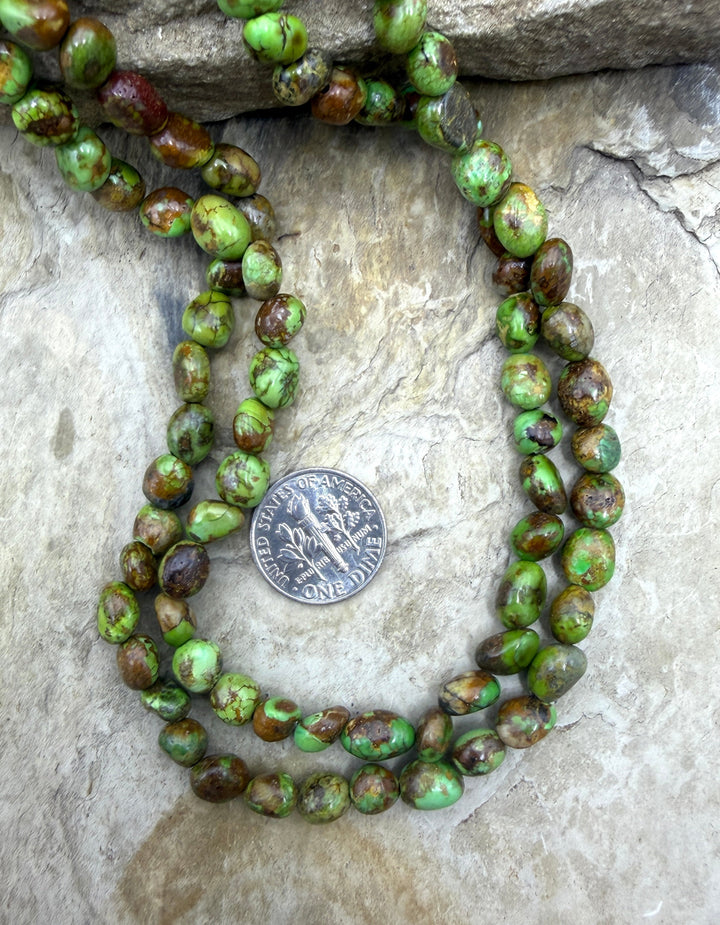 RARE Boulder Sonoran Gold Turquoise (Mex) Rounded Nugget