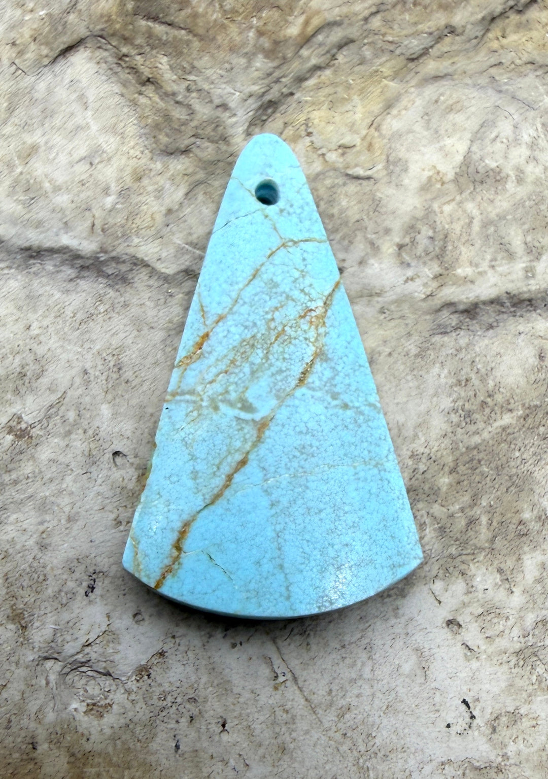 RARE Dry Creek Turquoise (Nevada) Focal Bead Pendant