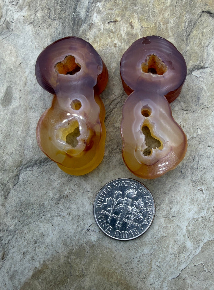 RARE Fossilized Bamboo Bead Pair 10x18x38mm - Fossil Bamboo