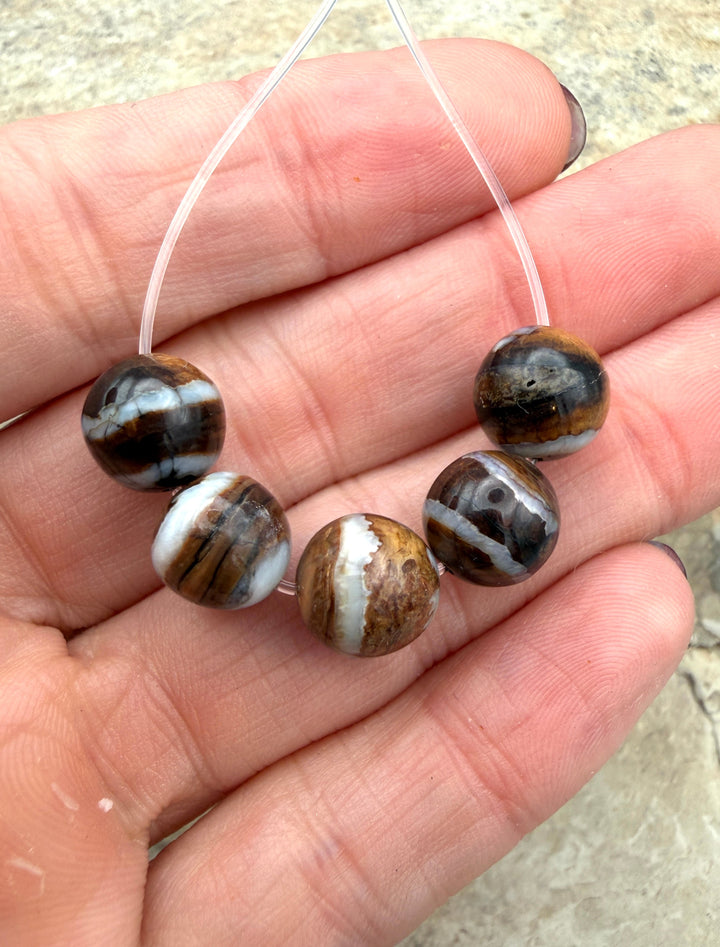 RARE Fossilized Woolly Mammoth Molar 10mm Beads Set of 5