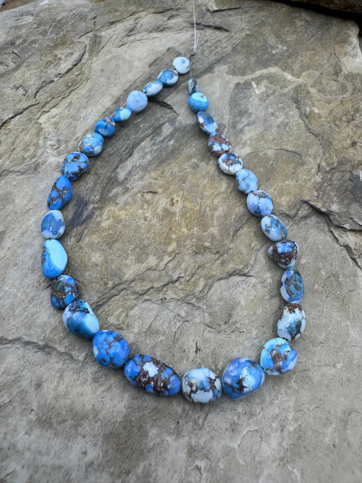 RARE Golden Hills Turquoise (Kazakhstan) 5mm-6x12mm