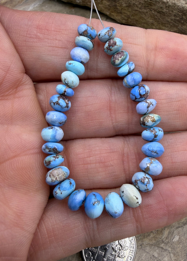 RARE Golden Hills Turquoise (Kazakhstan) Handcut Rondell