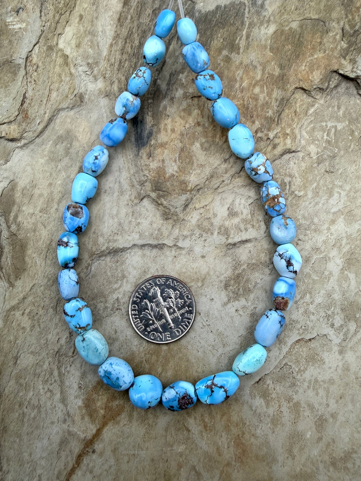 RARE Golden Hills Turquoise (Kazakhstan) Large Graduated