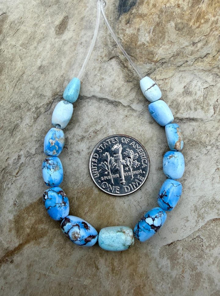 RARE Golden Hills Turquoise (Kazakhstan) Large Graduated