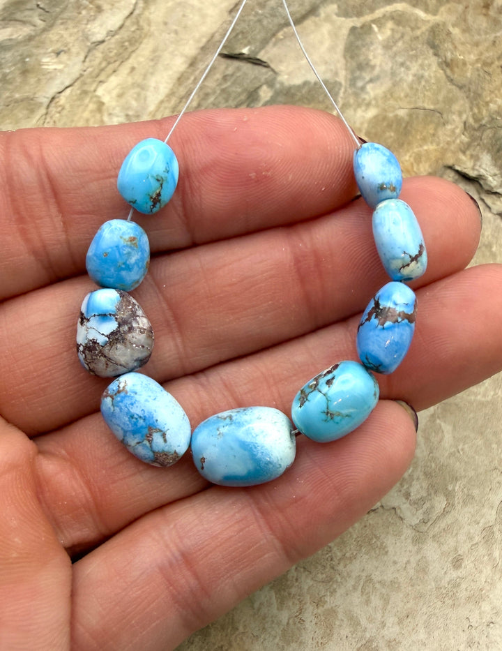 RARE Golden Hills Turquoise (Kazakhstan) Large Graduated